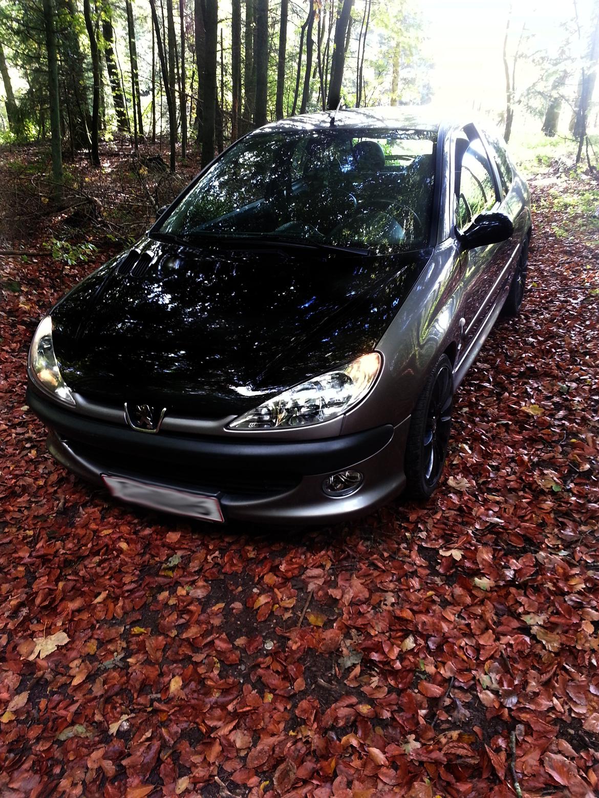 Peugeot 206 SOLGT - Taget den 15/10-2012 billede 1