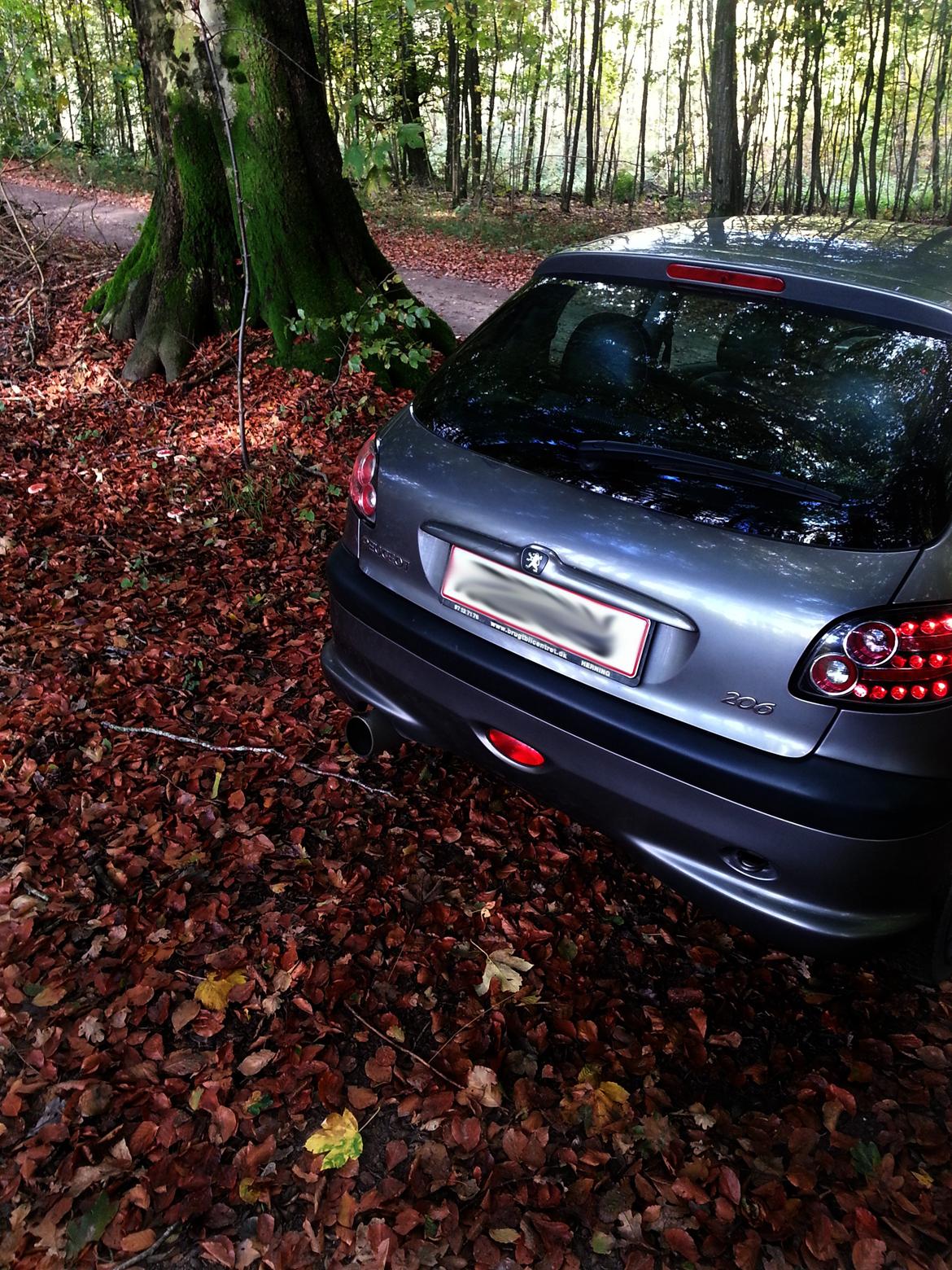 Peugeot 206 SOLGT - Peugeot 206 - Taget den 15/10-2012 billede 2