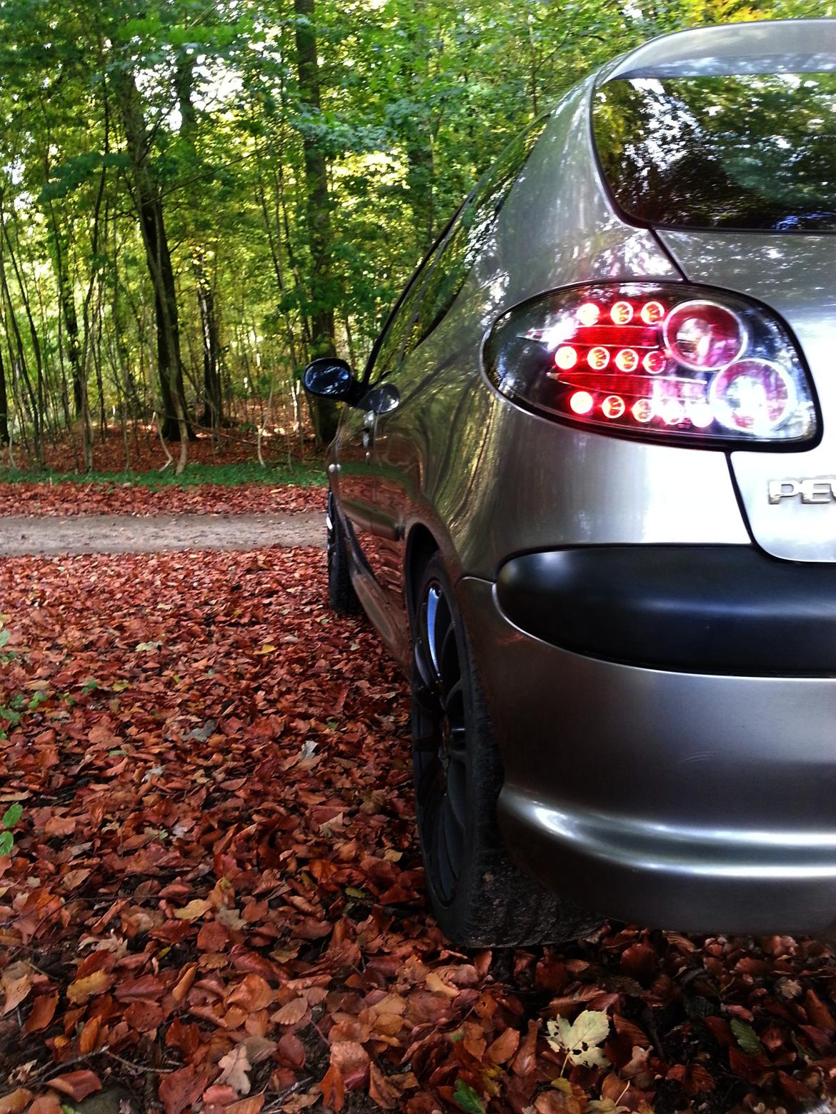 Peugeot 206 SOLGT - Peugeot 206 - Taget den 15/10-2012 billede 3