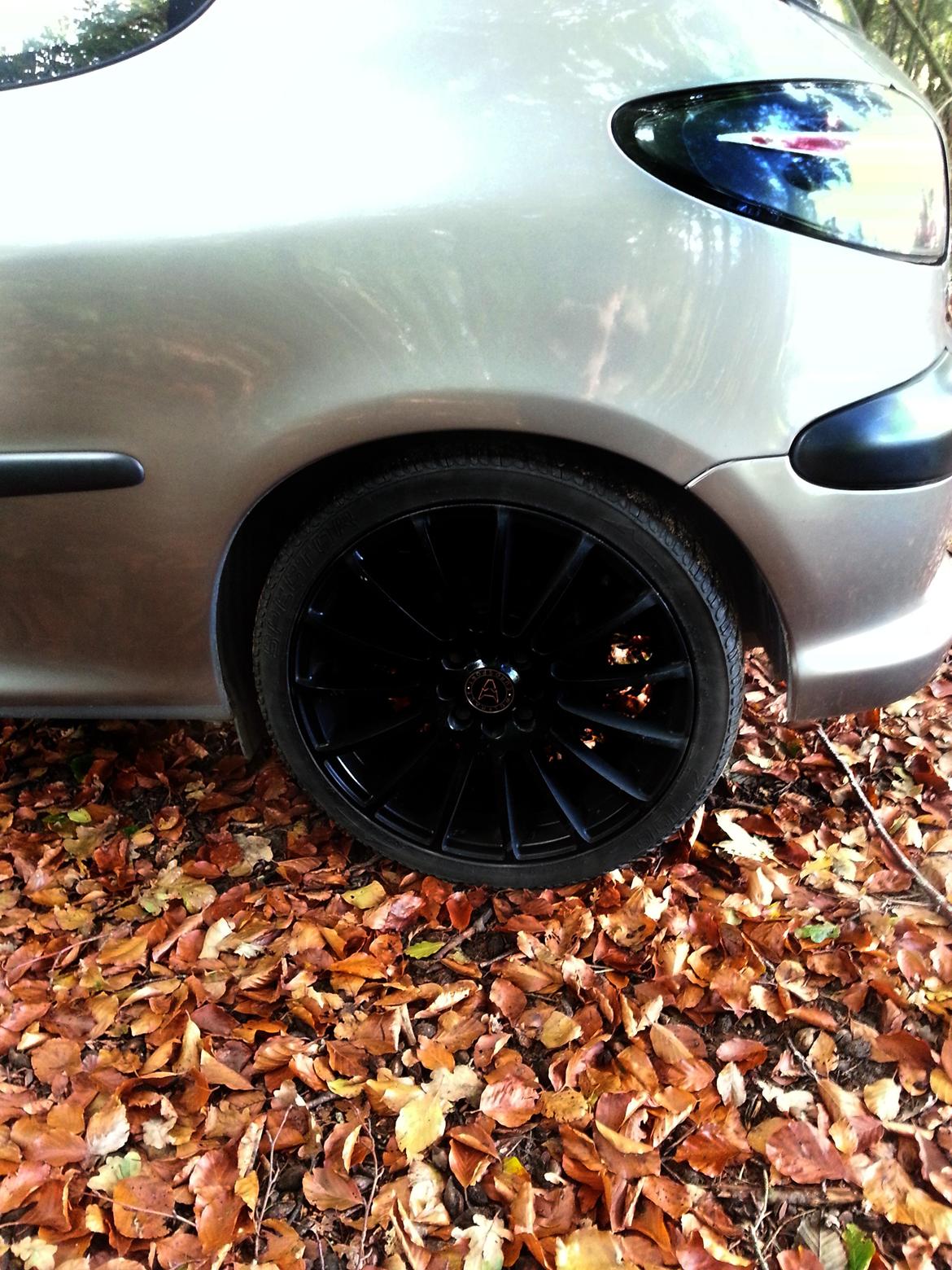 Peugeot 206 SOLGT - Peugeot 206 - Taget den 15/10-2012 billede 4