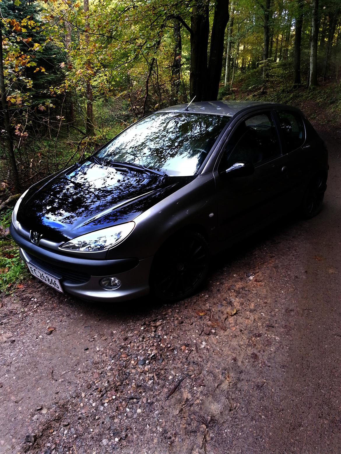 Peugeot 206 SOLGT - Peugeot 206 - Taget den 15/10-2012 billede 7