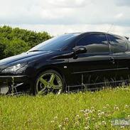 Peugeot 206 Griffen (død:()