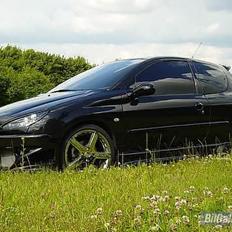 Peugeot 206 Griffen (død:()