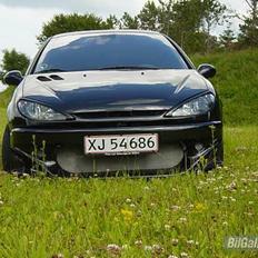 Peugeot 206 Griffen (død:()