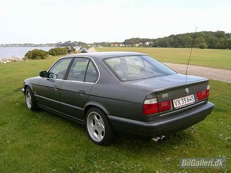 BMW 525i billede 4