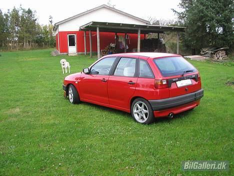 Seat Ibiza (Solgt) billede 3