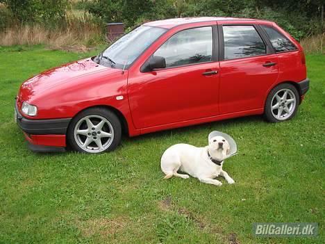 Seat Ibiza (Solgt) - Ja den har et problem, møghund.=) billede 8