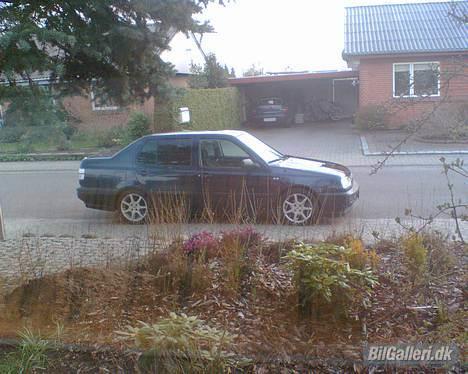 VW '''''''' vento billede 6