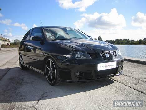 Seat Ibiza  billede 1