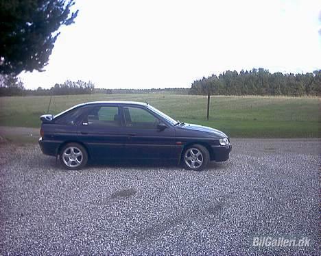 Ford escort 1,8 monaco billede 1