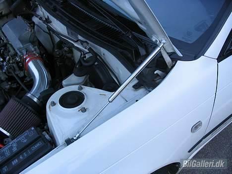Toyota Corolla SPORT "SOLGT" - Uni. motorhjelmsdæmpere, det er for nice! billede 8