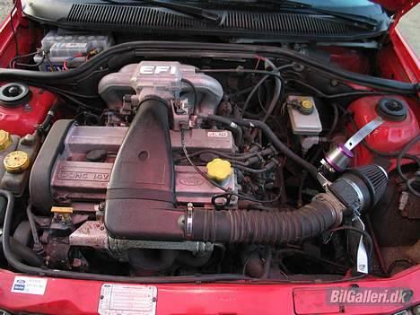 Ford Escort (SOLGT) - Motor billede 3