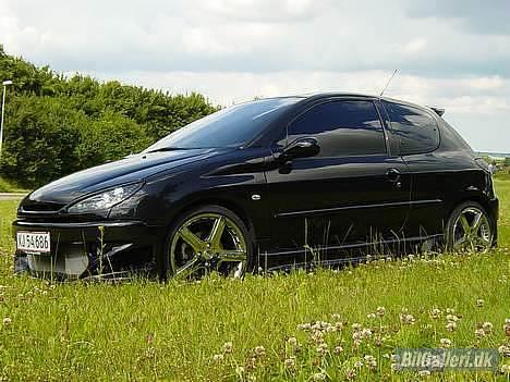 Peugeot 206 Griffen (død:() billede 1