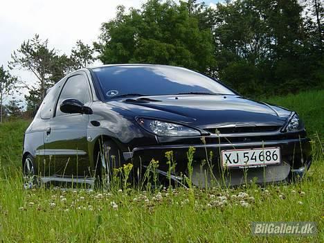 Peugeot 206 Griffen (død:() billede 2