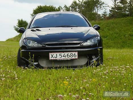 Peugeot 206 Griffen (død:() billede 3