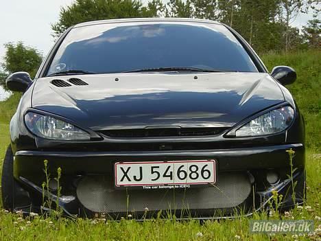 Peugeot 206 Griffen (død:() billede 4