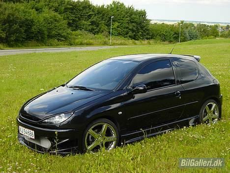 Peugeot 206 Griffen (død:() billede 5