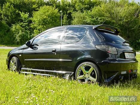 Peugeot 206 Griffen (død:() billede 6