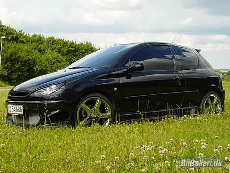 Peugeot 206 Griffen (død:() billede 7