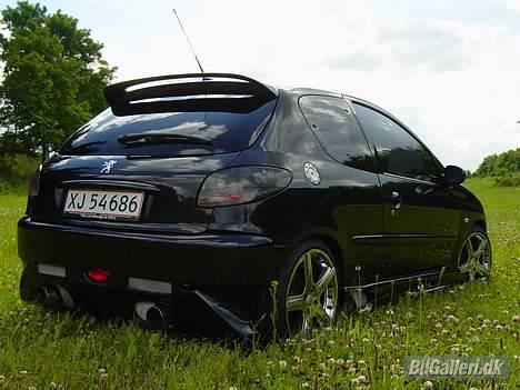 Peugeot 206 Griffen (død:() billede 10