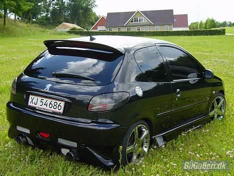 Peugeot 206 Griffen (død:() billede 11