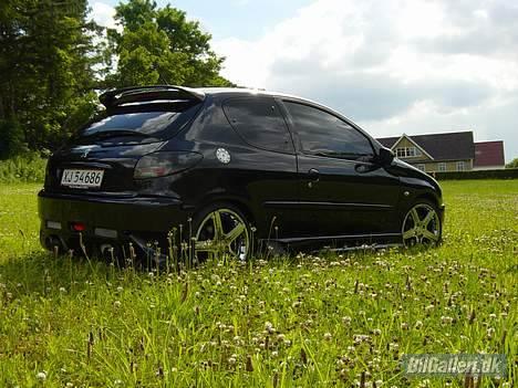 Peugeot 206 Griffen (død:() billede 12