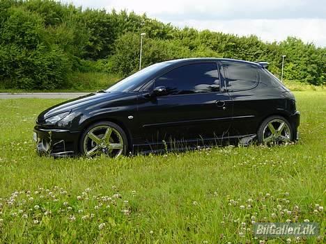 Peugeot 206 Griffen (død:() billede 13