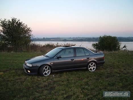 Nissan Primera GT billede 4