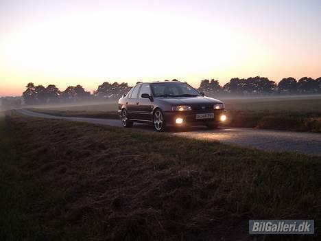 Nissan Primera GT billede 6