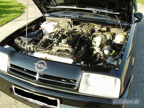 Opel Manta GSI billede 10