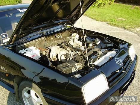 Opel Manta GSI billede 11