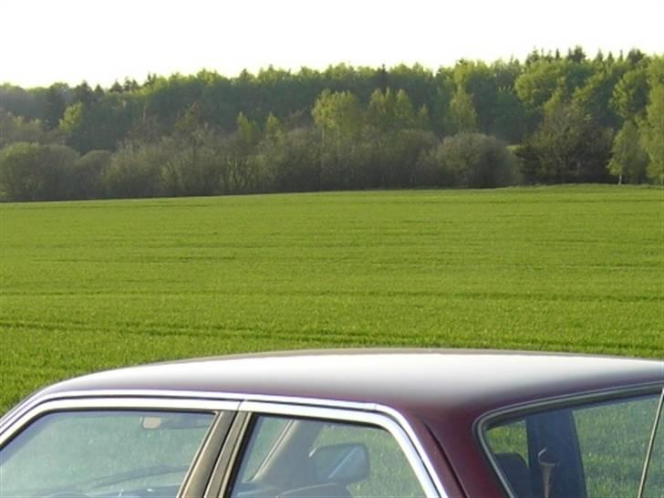 BMW E30 320i billede 9