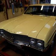 Buick Skylark special