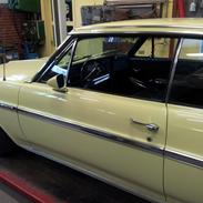 Buick Skylark special