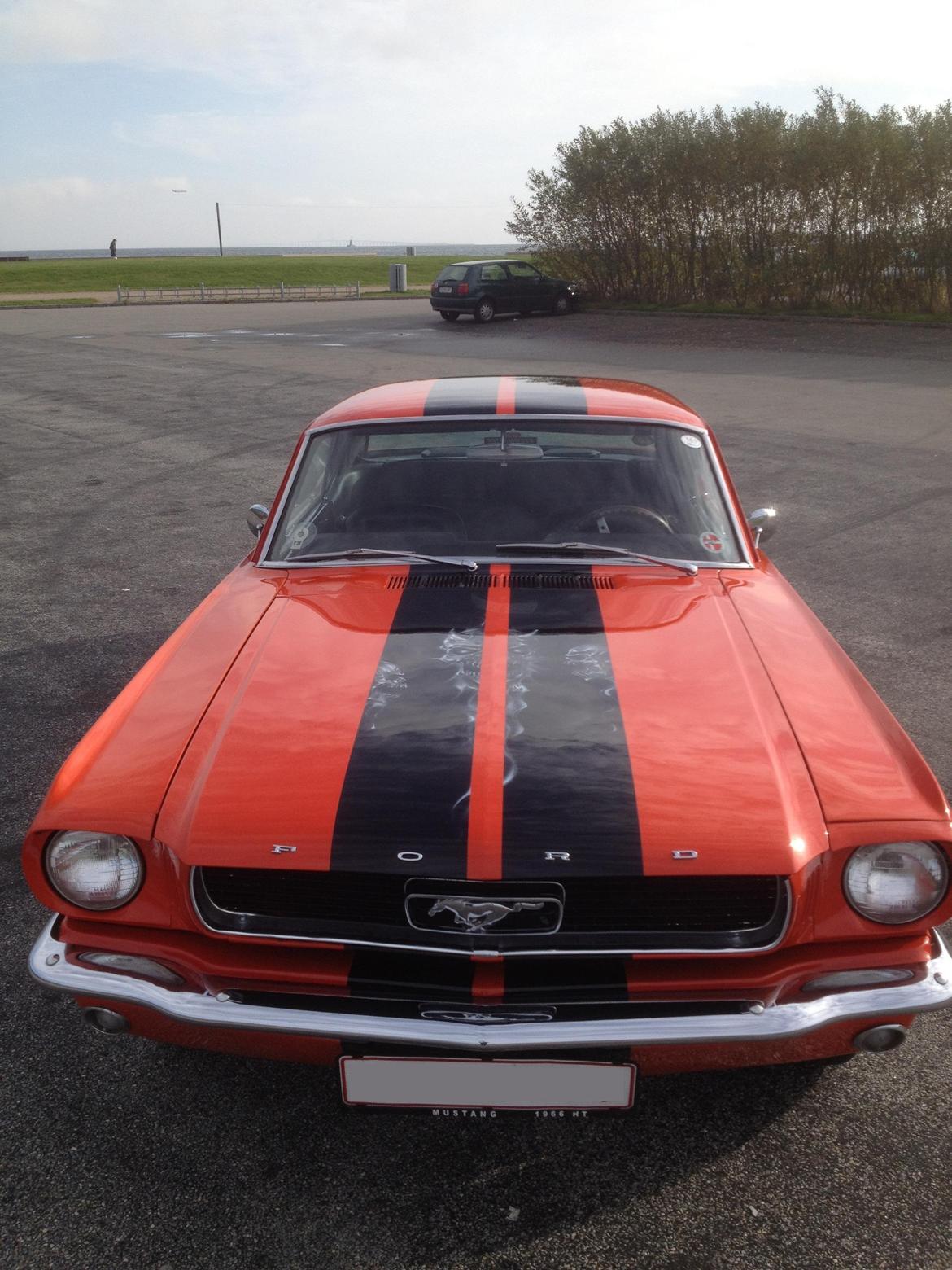 Ford Mustang billede 1