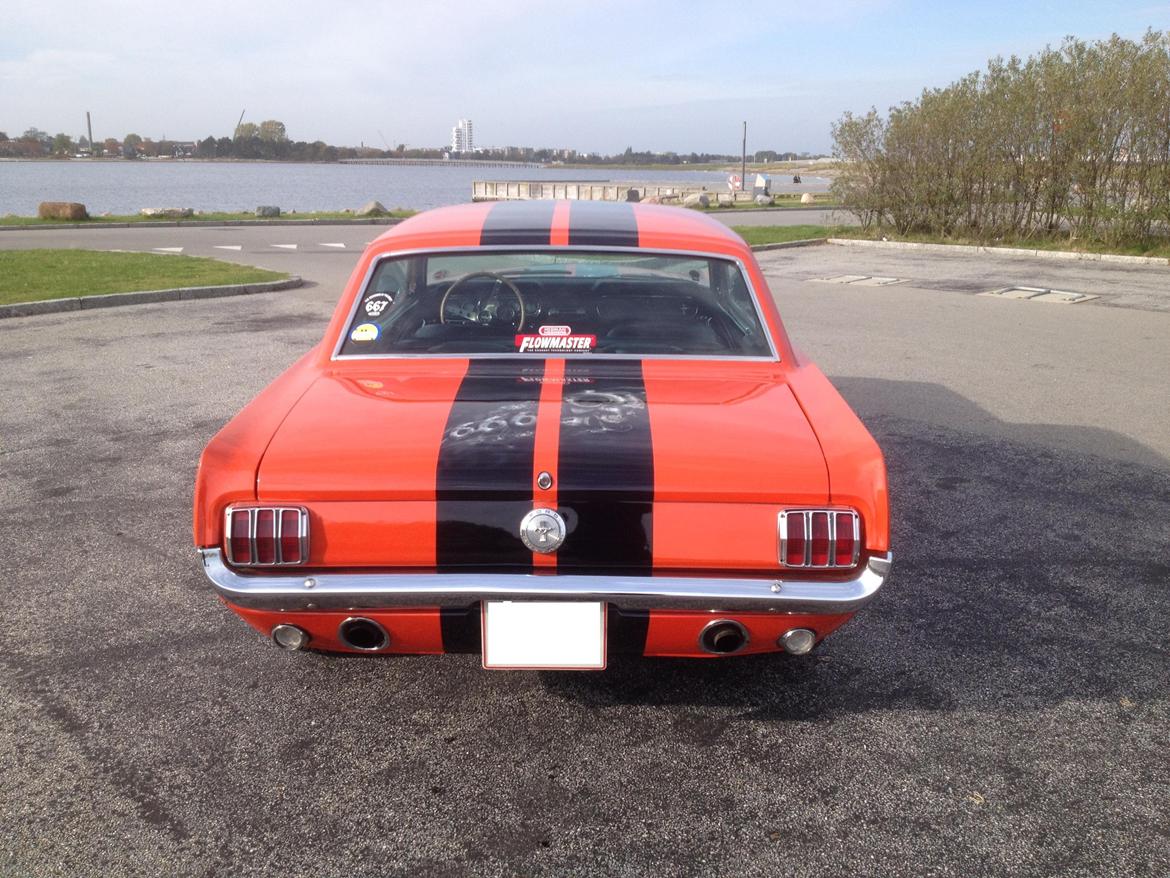 Ford Mustang billede 6