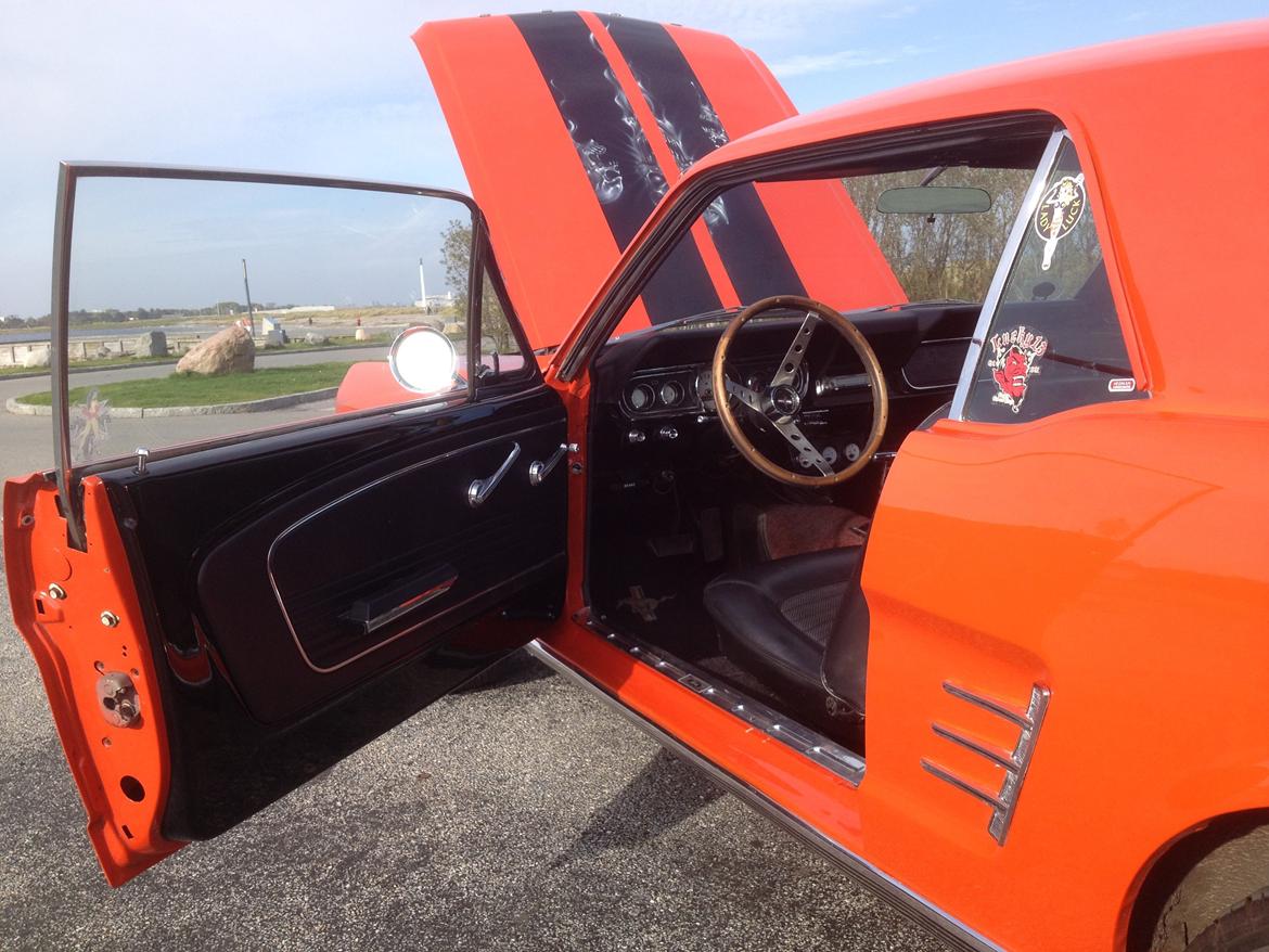 Ford Mustang billede 14