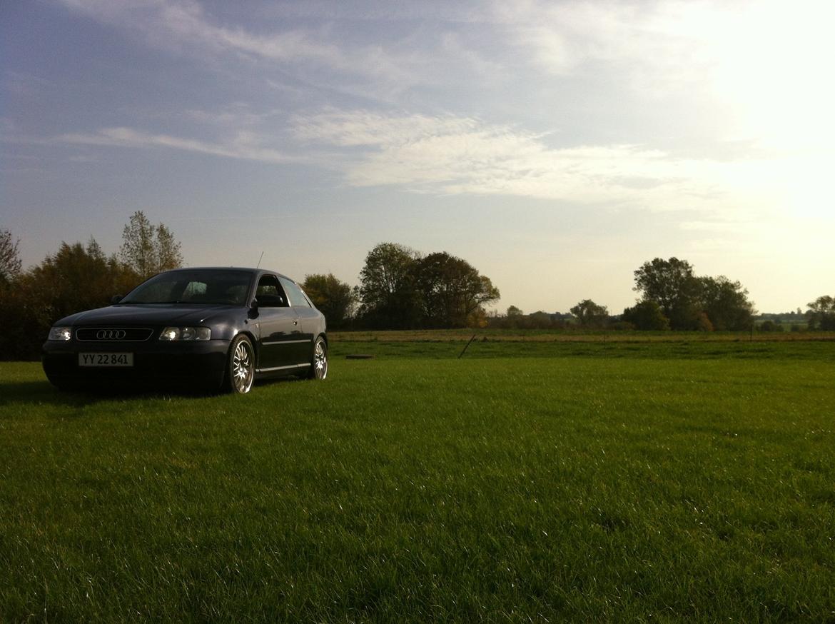 Audi A3 1.8 Turbo billede 4