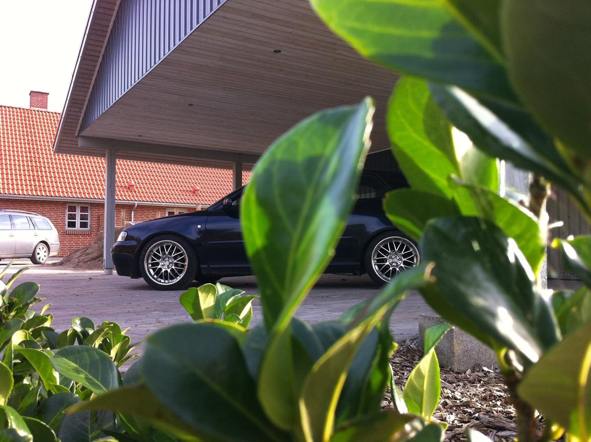 Audi A3 1.8 Turbo billede 15