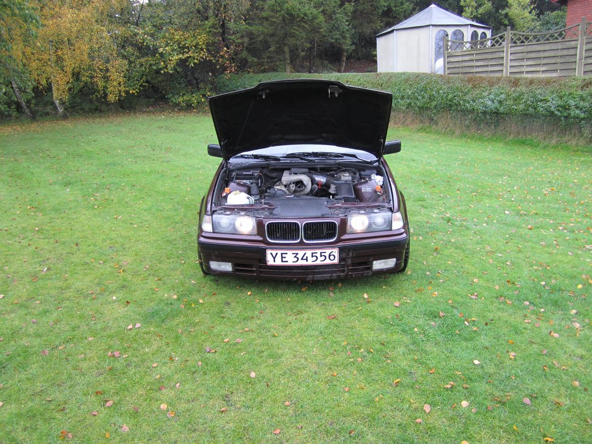 BMW 318i (solgt) billede 9