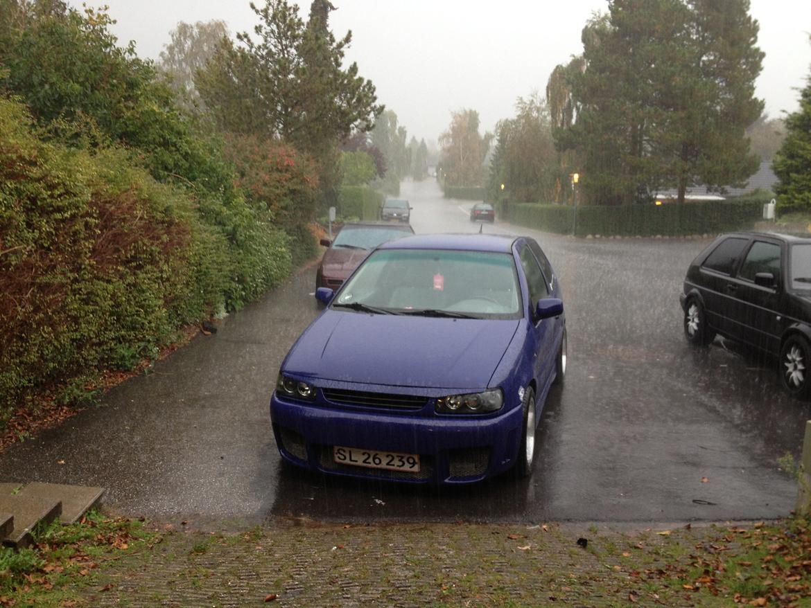 VW polo 6n billede 12