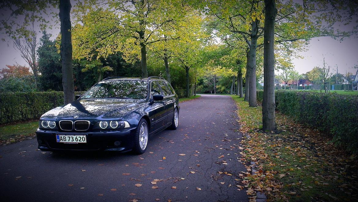 BMW 523i Touring E39 billede 6