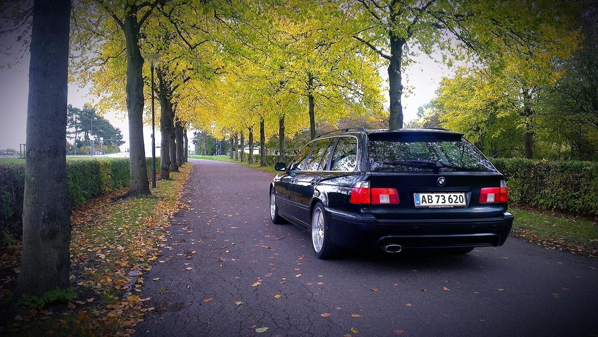 BMW 523i Touring E39 billede 7