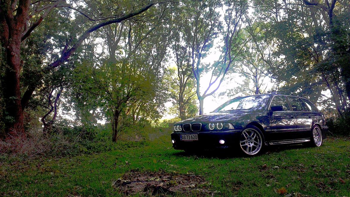 BMW 523i Touring E39 billede 16