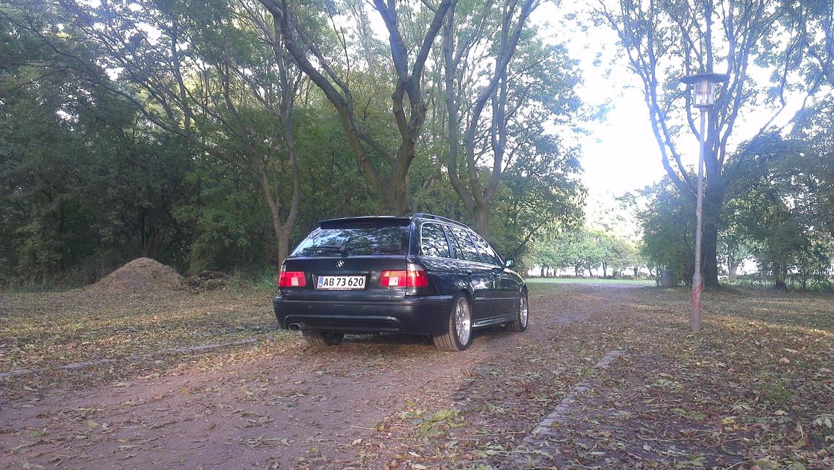 BMW 523i Touring E39 billede 17