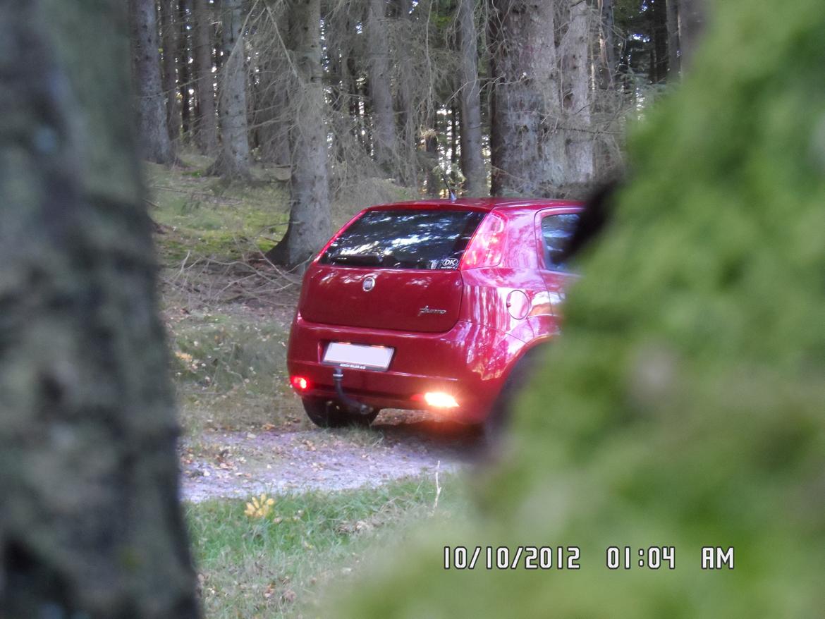 Fiat Grande punto billede 2