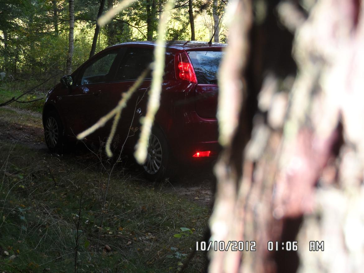 Fiat Grande punto billede 3