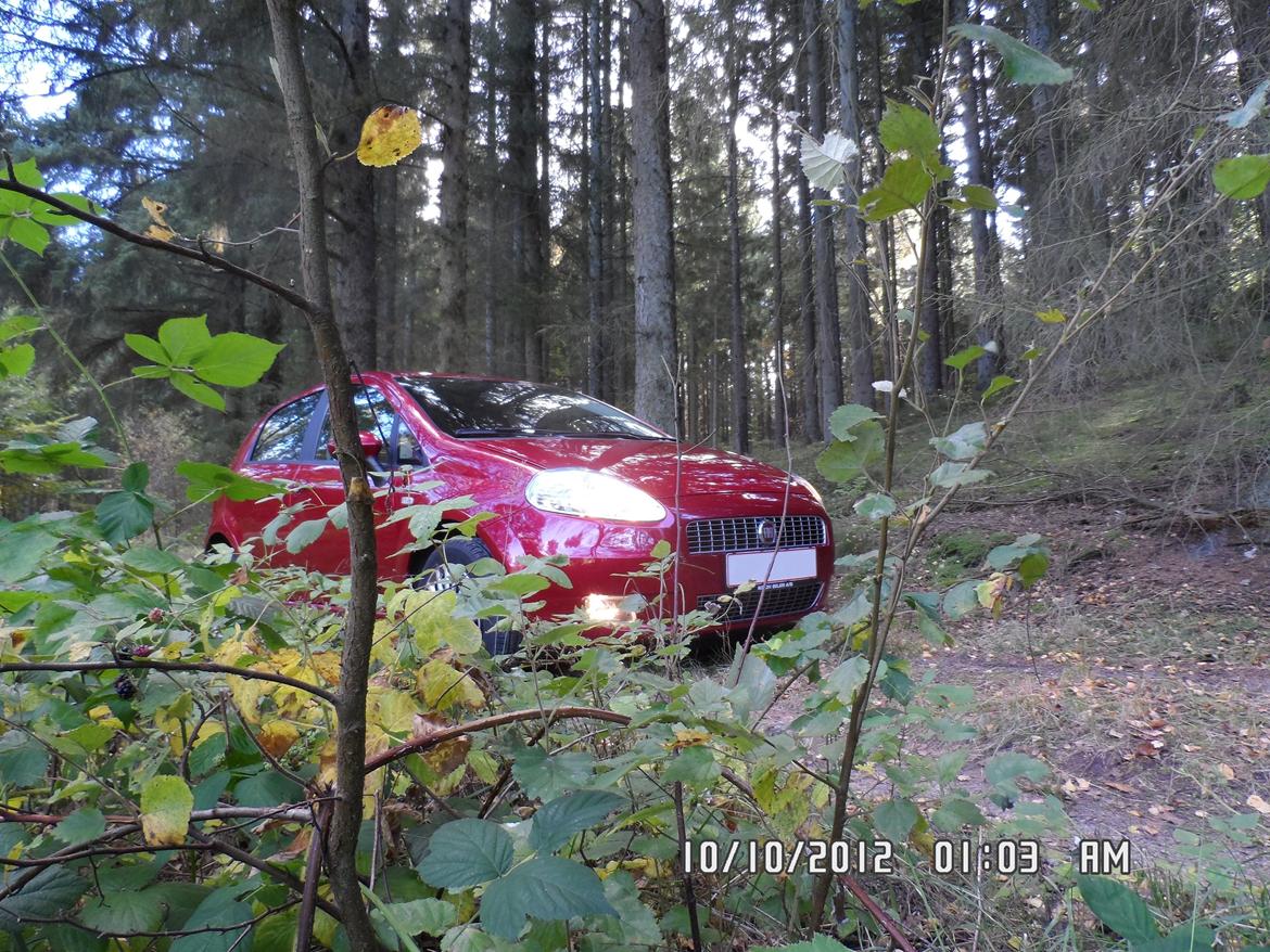 Fiat Grande punto billede 14