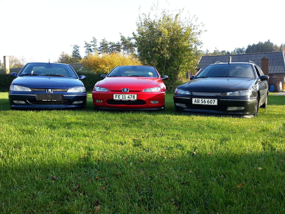 Peugeot 406 st billede 7