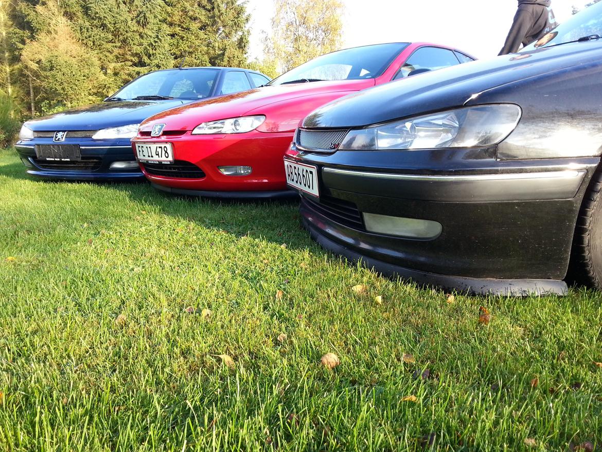 Peugeot 406 st billede 8
